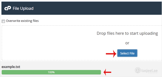 Click on Select File and choose the file you want to upload from your computer. Click open and the upload process will begin. You can also drag...