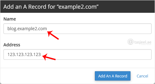 Click on A Record, and a pop-up box will open. Please, enter the required details in it.