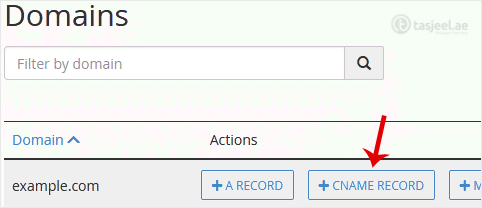 Under Domains , you can see many options below Actions .