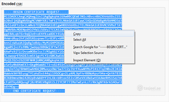 Encoded CSR