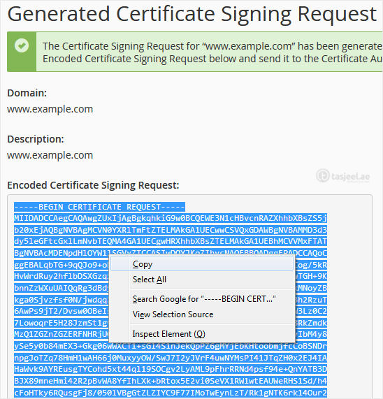 Copy the generated CSR code and save it to your computer