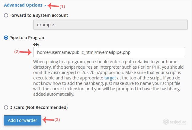 In the Destination section, click on Advanced Options , select Pipe to a Program and enter the full path of your pipe script, such as...