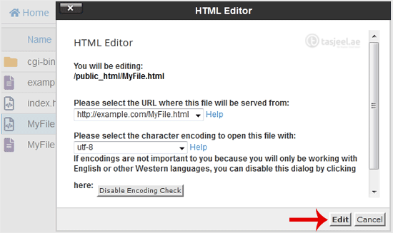 In the HTML Editor window, click on Edit .
