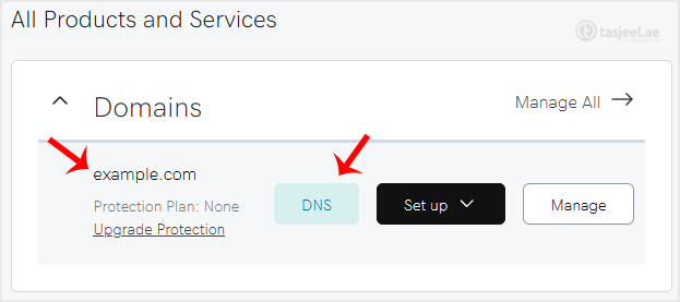 Under the Domains section. Click on DNS next to the domain you wish to manage.