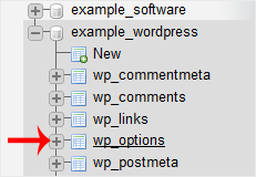 Select the appropriate table you want to edit. If you wish to change the blog name of WordPress, then select "wp-options".