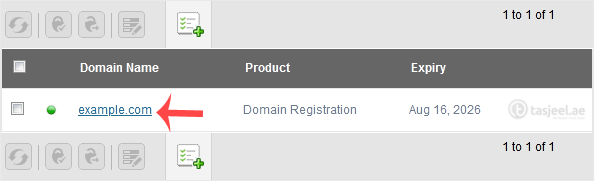 Under Domain Name , click on the appropriate choice.