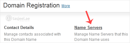 Scroll down to the Domain Registration option and click on Name Servers .