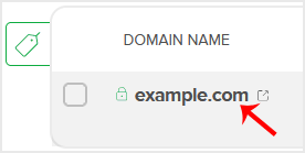 Click on the domain you want to update the nameservers for.