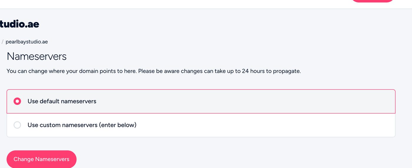 The Nameservers page, here on our default nameservers