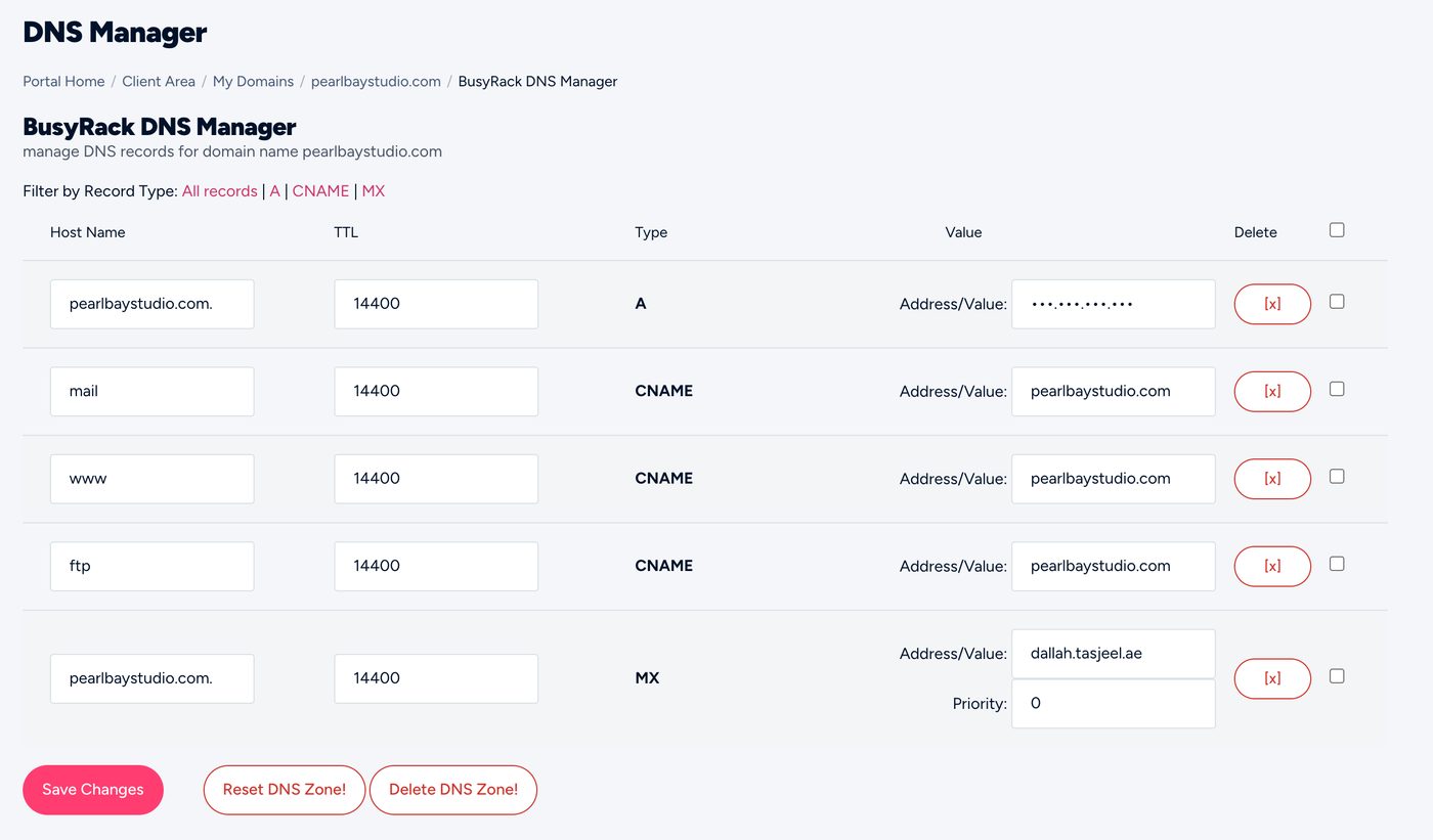 DNS Management with its starting records