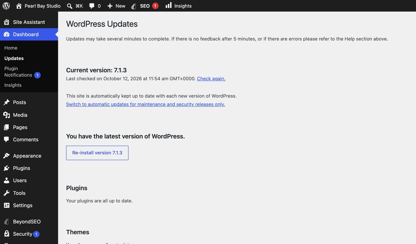 The Updates page in WordPress