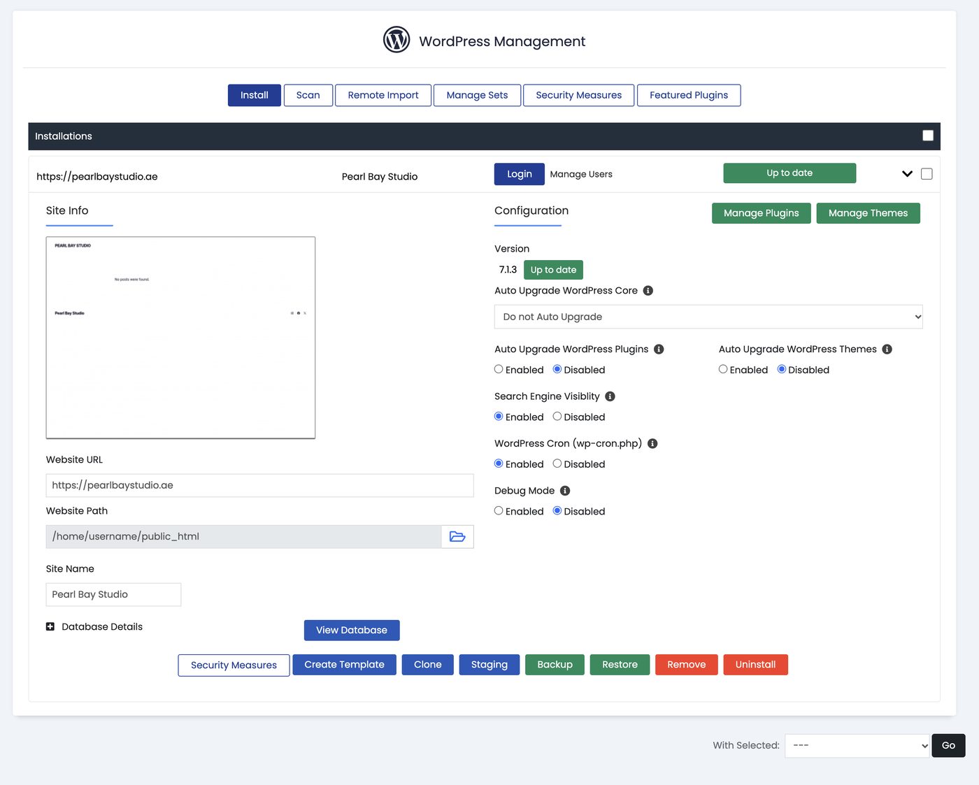 Auto upgrade settings in WordPress Manager